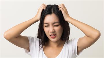 一天不洗頭就很癢？ 醫揭5大頭皮敏感原因　亂搔抓恐惹這疾病纏身
