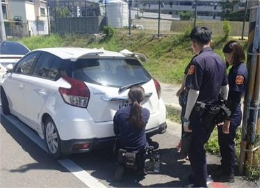 跨機關合作防堵　偽造車牌舉發案減近7成