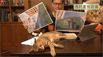 陳其邁「書房直播」重新開張 愛貓小米超搶鏡