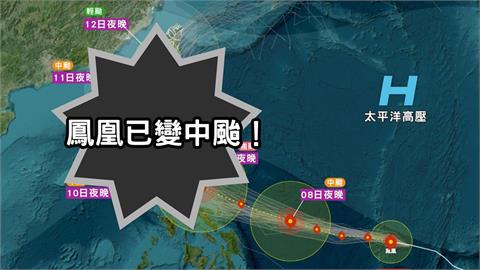 鳳凰環流大「普發強風」有望颱風假？氣象粉專曝7重點：皮繃緊了