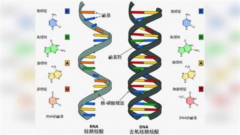 中國一城市強制採集男性居民DNA惹議　陸媒：應依法行政