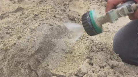 苗栗通霄沙雕藝術節７／４登場　啟動防颱作業噴灑環保膠形成盔甲