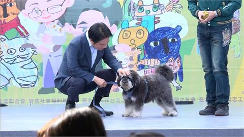 毛孩超車小孩！全台貓狗數破340萬　賴清德：目標拚零棄養