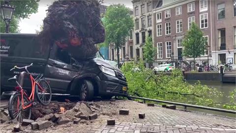 荷蘭史上最大夏日風暴 樹倒砸車釀1死