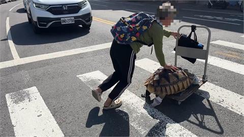 大街巧遇「穿襪龜」逛大街　飼主擔心腳受傷給烏龜穿襪子