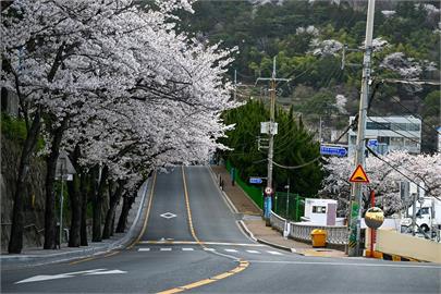 快新聞／遊韓注意！釜山西部4地「臭氧超標」　恐影響環境、健康