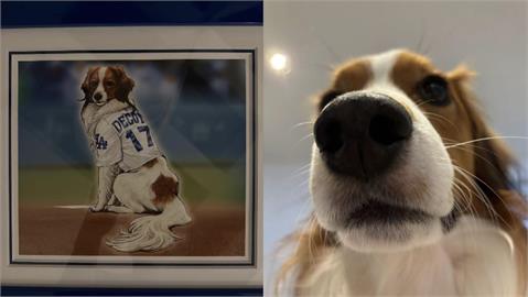MLB(影)／全世界最紅的狗明星DECOY！大谷秀「遊戲王」為愛犬特製卡片