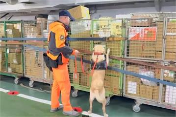 中國製電子煙藏包裹闖關　X光檢查儀結合搜救犬攔截