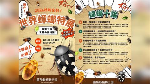 蘭陽植物王國推出「世界蟑螂特展」　網嚇壞喊：聽見媽媽的尖叫聲！