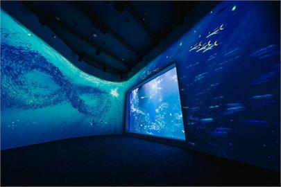 快新聞／台中海洋館8/21開幕！全票500元　網抱怨：竟比沖繩水族館還貴