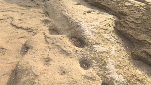 北非最古老腳印摩洛哥出土　發現10萬年前人類足跡！學者推測他們在做這事