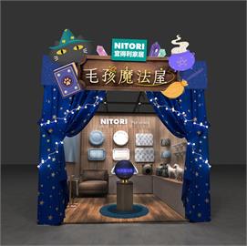 宜得利家居 × 毛孩魔法屋 高雄寵物展夢幻登場！ 打造毛孩與飼主的幸福日常