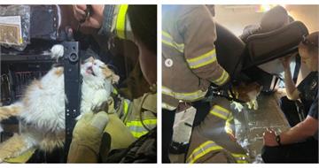 不想看醫生拚了！橘貓躲體檢卡進電動沙發動彈不得　消防鋸椅救援