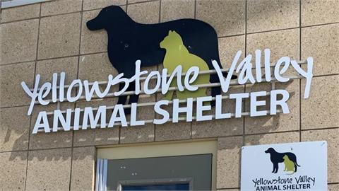 快新聞／離譜！FBI銷毀毒品作業失誤　蒙大拿1動物收容所「人類、犬貓全中毒」
