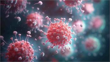 一鍵看懂｜人畜共通「立百病毒」列第五類法定傳染病  致死率達75％、潛伏期、症狀一次看懂！