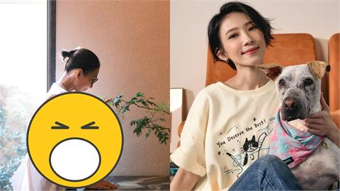 消失螢光幕多年！48歲戴佩妮露面「挺驚人孕肚」粉絲急喊恭喜真相曝光
