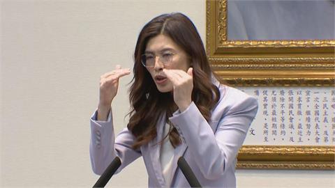 鄭麗文喊拒軍購「空白支票」　網嗆：紅到發光