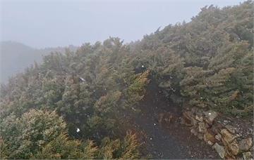 玉山「絕美畫面」曝光　片片白雪飄落超夢幻