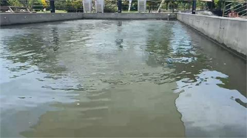 釣蝦驚魂！鄰桌狗突爆衝咬傷男童　右大腿滿是瘀青、咬痕
