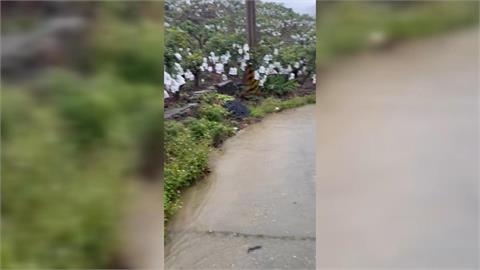 南部雨彈狂炸! 屏東香蕉.芒果泡水 果農損失難估計