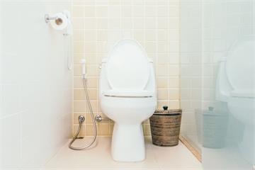 打死蟑螂沖馬桶恐惹禍！日專家揭「2大後果」　恐比想像更糟