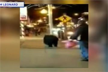 「大黑熊」闖進糖果店  員工被萌、被驚嚇