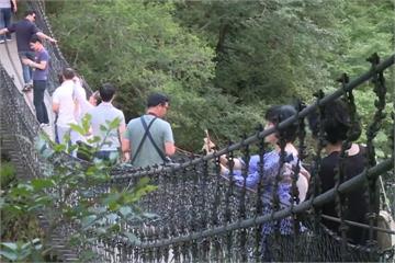 太魯閣吊橋限載8人 韓旅遊團硬擠10人上橋