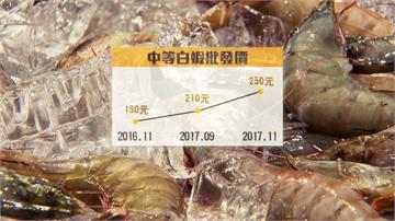 氣溫高產量剩3成 白蝦每斤飆到250元