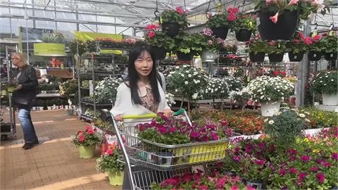 懶人福音！台灣人妻體驗德國花市「代客種花」服務　10分鐘光速完成超讚