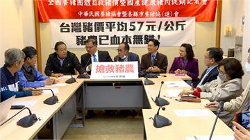 武漢肺炎重創畜牧業！豬價慘跌創十年新低