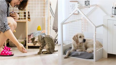 6 個寵物宅裝修要點分享：從地板、家具到空間佈局，打造安心寵物宅