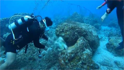 可憐！被漁網纏住　海龜癱軟被潛水人員救出