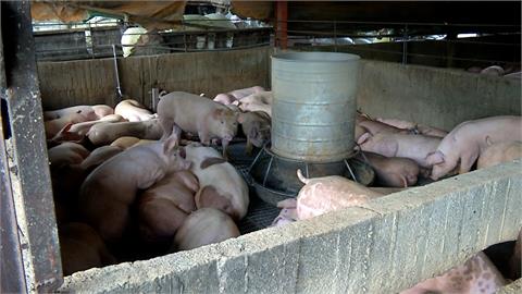 豬價飆漲撐不住了　肉乾業者宣布調漲10元至20元