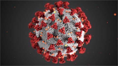 威脅性再提升？COVID-19變種病毒致死率、疫苗保護力一次看懂