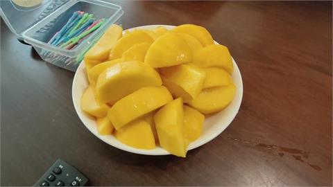 六年磨一劍！　苗栗市果農成功種出「台中一號」芒果