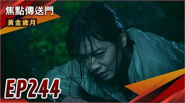 《黃金歲月-EP244精采回顧》保母生死一瞬間！即刻救援讓駿芸感情升溫　雪琴弄巧成拙？
