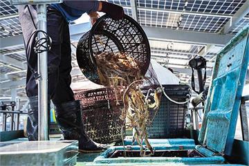 台積綠電爆雷2/護國神山加持也撐不住 3大關鍵壓垮誠新