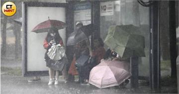 楊柳暴風侵襲率「12縣市逾8成」　周三南部、東南部防強風豪雨