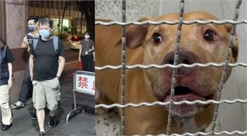 「2度跳窗咬人比特犬飼主」爆內線交易！50萬交保　新華泰富高層7人被約談
