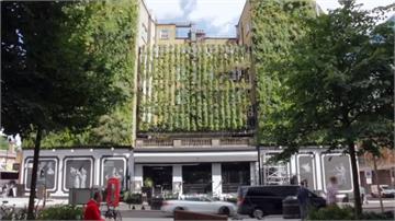 環保意識抬頭 英國飯店業者搶攻「綠經濟」