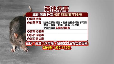 勿恐慌！　基隆爆第３例本土漢他　醫師：首爾病毒株死亡率約１％