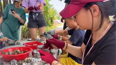 嘉義東石體驗剖蚵　夢幻海岸線朝聖國片取景地