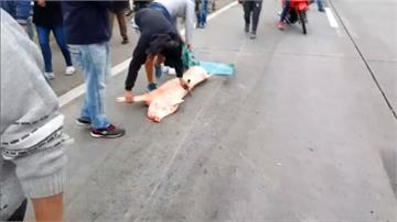 阿根廷冷凍車翻覆 大批民眾搶奪豬肉