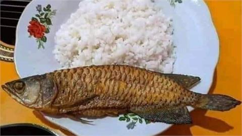一道3萬元的菜！印尼男返家「超貴金龍魚失蹤」秒見兒子端出一盤煎魚