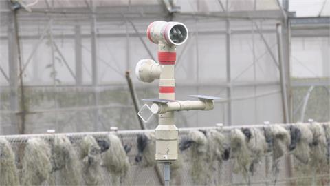 可控時、太陽能供電　花蓮農改場研發雷射光驅鳥