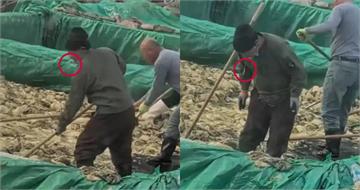 赤腳踩酸菜邊抽菸還吐痰 中國酸菜工廠超噁30秒片瘋傳「監管扣押銷毀」