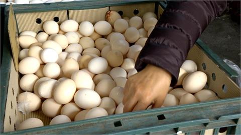 過年休市雞蛋供過於求　週六蛋價降３元 超商茶葉蛋沒反應