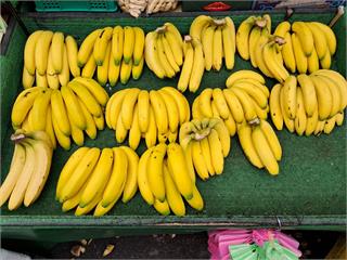 認識台灣超人氣6大蕉類 「這樣」保存香甜Q彈不變質！