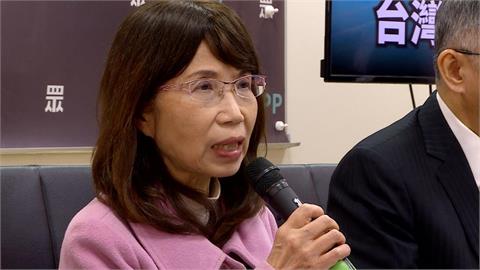 陳昭姿「代孕條款」辭職書瘋傳　吳靜怡批：假進步真父權