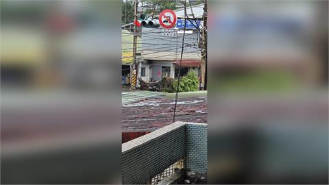 快新聞／白海豚發威！淡水驚見龍捲風「路樹遭連根拔起」　驚險畫面曝